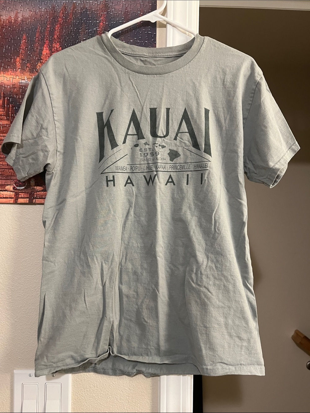 Hawaii Graphic Tee - Light Sage Green